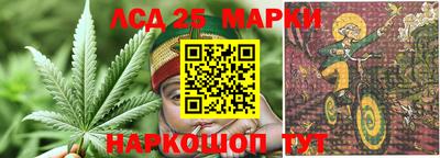 альфа пвп Обь