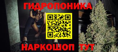 мдма Новозыбков